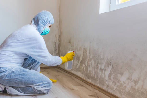 Hvac And Air Duct Mold Remediation inspection of HVAC system in Pentwater