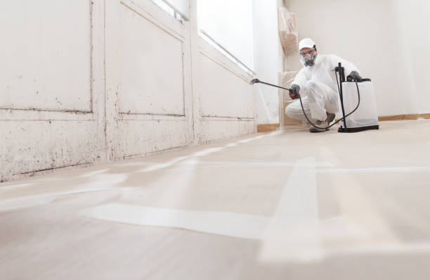 Black mold remediation team in Pentwater